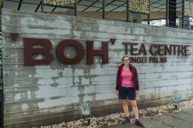 BOH Tea Centre in Cameron Highlands