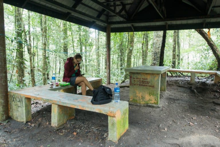 Hiking the Jungle Trails in Cameron Highlands - Wandering ...