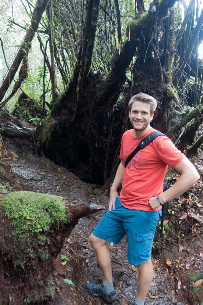 Hiking the Jungle Trails in Cameron Highlands - Wandering ...