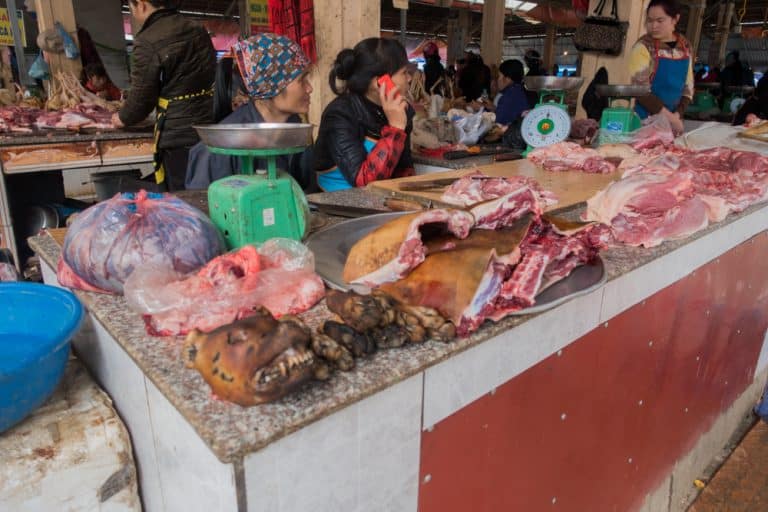 Dog Meat, Anyone? Dog Meat, Anyone?