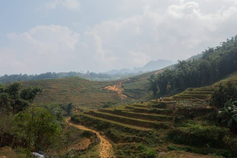 Sapa Rice Fields Sapa Rice Fields