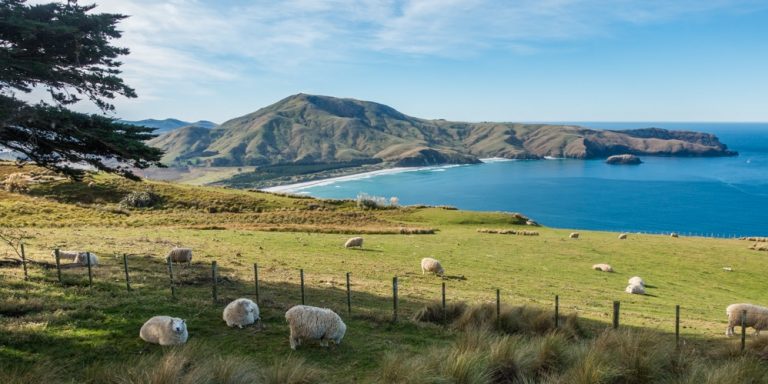 #14 Sandymount Loop Track #14 Sandymount Loop Track