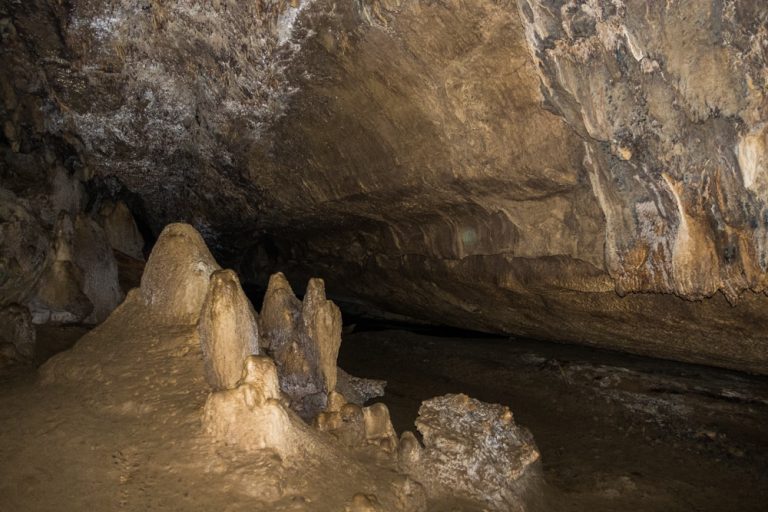 Waipu Caves Glowworms, a Free Alternative to Waitomo - Wandering the World