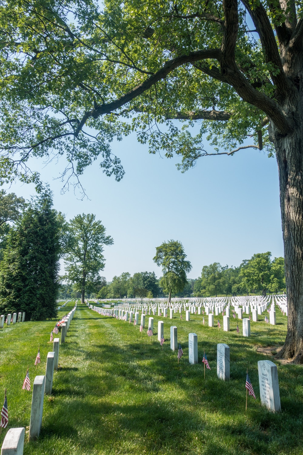 A Free Walking Tour of Arlington Cemetery with DC by Foot ...