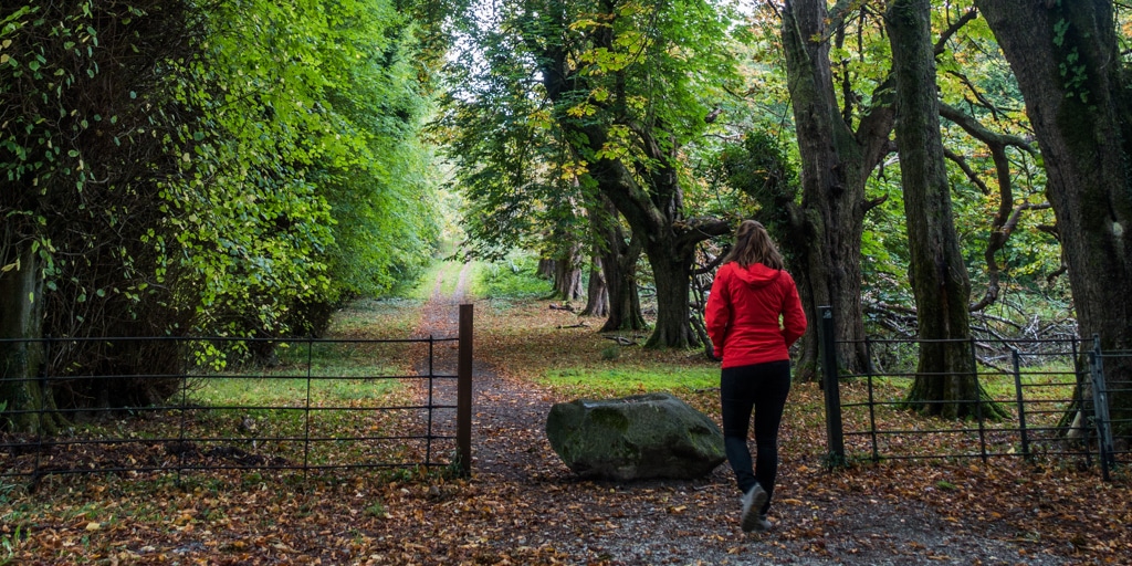 Hiking Killarney National Park With Ireland Walk Hike Bike