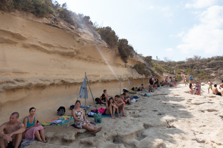 Lucky to find same space in the shade Lucky to find same space in the shade